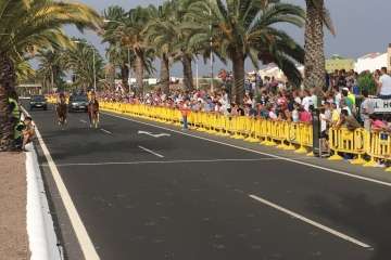 Carreras de caballos y entrega de premios en la Avenida del Cabildo (Foto TA)