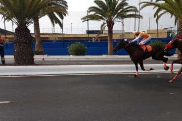 Carreras de caballos y entrega de premios en la Avenida del Cabildo (Foto TA)
