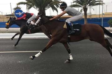 Carreras de caballos y entrega de premios en la Avenida del Cabildo (Foto TA)