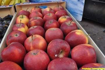 Romería en El Goro (Foto 1-54); en Marpequeña (Foto 55-61); en Las Huesas (Foto 62-80) y en Hoya Aguedita (Foto 81-83). Reportaje gráfico de Teldeenfiestas.