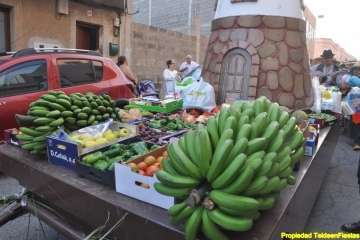 Romería en El Goro (Foto 1-54); en Marpequeña (Foto 55-61); en Las Huesas (Foto 62-80) y en Hoya Aguedita (Foto 81-83). Reportaje gráfico de Teldeenfiestas.