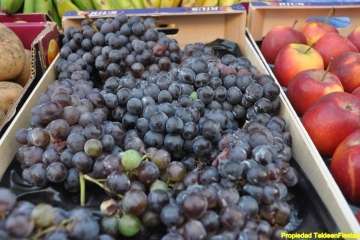 Romería en El Goro (Foto 1-54); en Marpequeña (Foto 55-61); en Las Huesas (Foto 62-80) y en Hoya Aguedita (Foto 81-83). Reportaje gráfico de Teldeenfiestas.