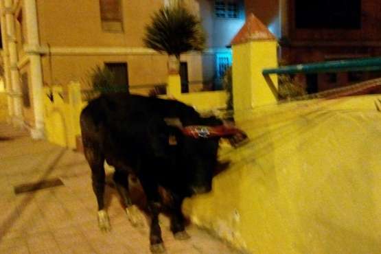 Foto Germán Ramos Ramos