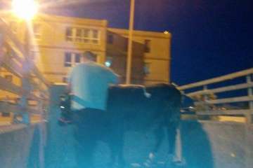 Foto Germán Ramos Ramos