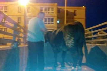 Foto Germán Ramos Ramos