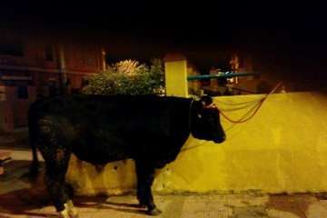 Foto Germán Ramos Ramos