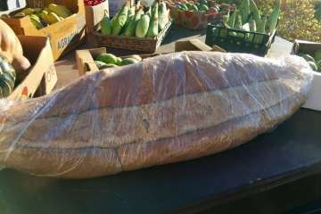 Reportaje gráfico Antonio Alí/TA y Francisco Javier Santana