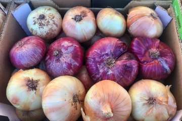 Reportaje gráfico Antonio Alí/TA y Francisco Javier Santana