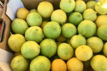 Reportaje gráfico Antonio Alí/TA y Francisco Javier Santana