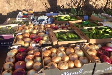 Reportaje gráfico Antonio Alí/TA y Francisco Javier Santana