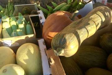 Reportaje gráfico Antonio Alí/TA y Francisco Javier Santana