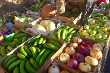 Reportaje gráfico Antonio Alí/TA y Francisco Javier Santana