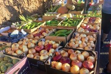 Reportaje gráfico Antonio Alí/TA y Francisco Javier Santana