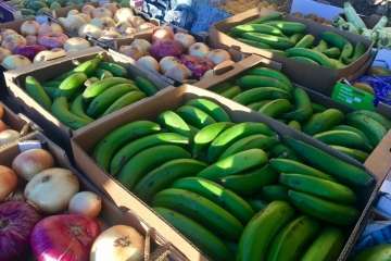 Reportaje gráfico Antonio Alí/TA y Francisco Javier Santana