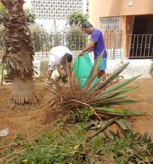 Los propios vecinos de Las Remudas se han tomado la iniciativa y se encargan de adecentar las zonas ajardinadas (Foto TA)