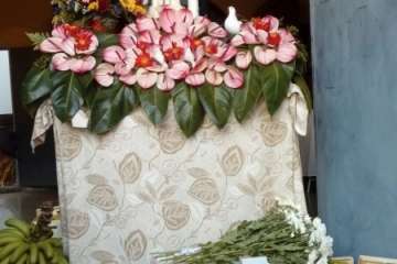 Reportaje gráfico Francisco Javier Santana