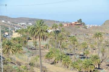 Reportaje gráfico Francisco Javier Santana