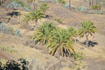 Reportaje gráfico Francisco Javier Santana