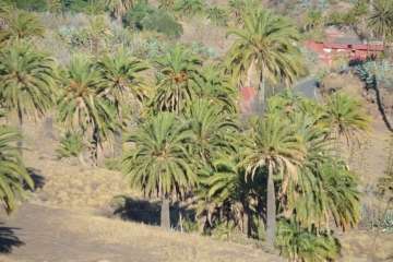 Reportaje gráfico Francisco Javier Santana