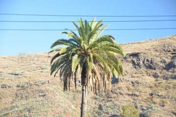 Reportaje gráfico Francisco Javier Santana