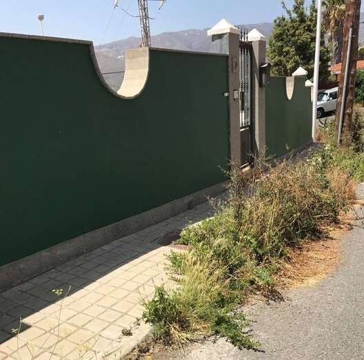 Hierbas en los márgenes de las calles (Foto TA)