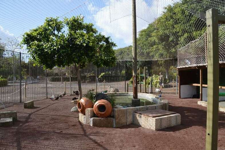 Imagen del aviario del parque de San Juan