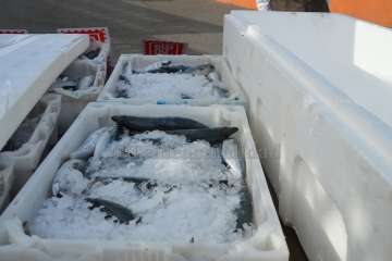 Reportaje gráfico TA