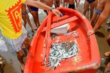 Reportaje gráfico Francisco Javier Santana