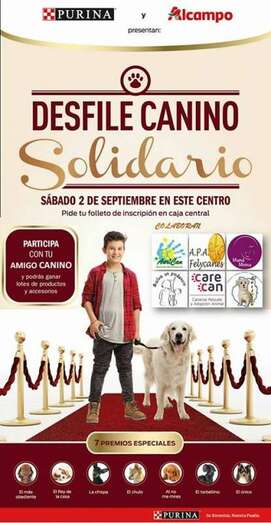 Cartel de la actividad (Foto TA)