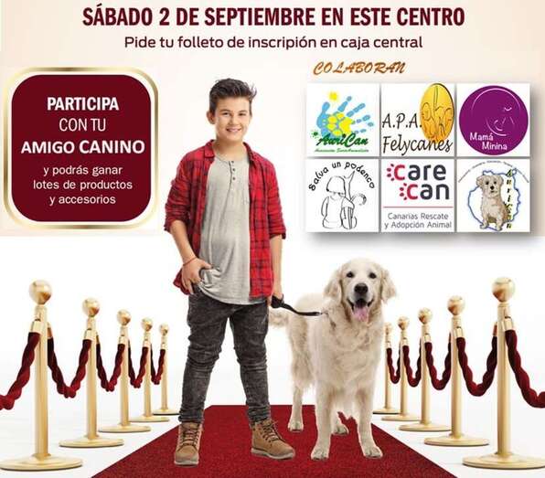 La jornada arrancará desde las 09.00 horas (Foto TA)