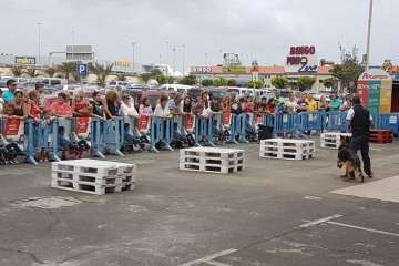 Reportaje gráfico TA