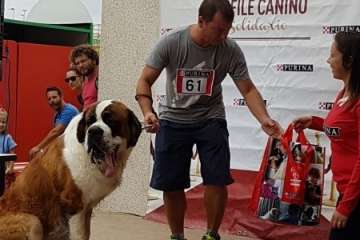 Reportaje gráfico TA