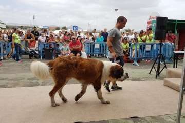 Reportaje gráfico TA