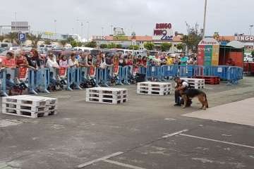 Reportaje gráfico TA