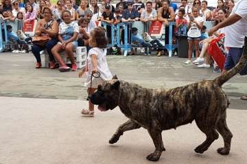 Reportaje gráfico TA