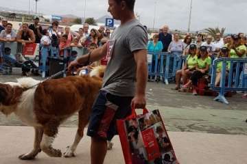 Reportaje gráfico TA