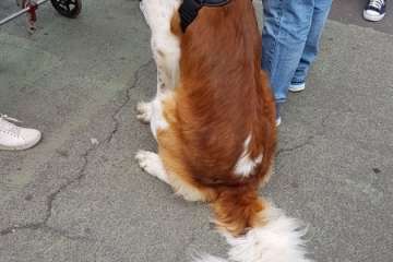 Reportaje gráfico TA