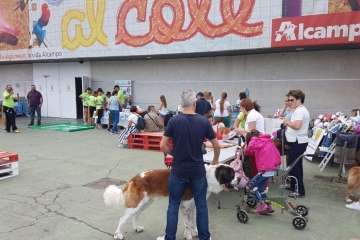 Reportaje gráfico TA