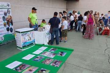 Reportaje gráfico TA