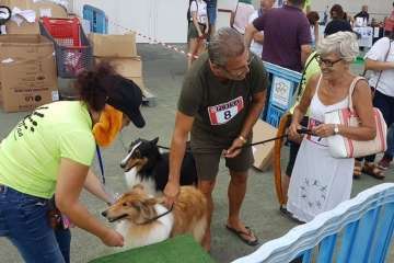 Reportaje gráfico TA