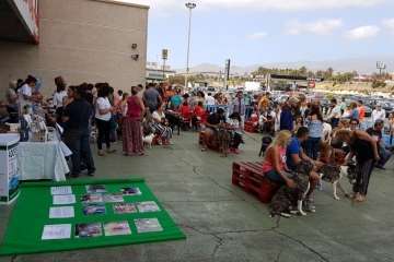 Reportaje gráfico TA