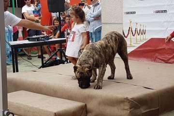 Reportaje gráfico TA