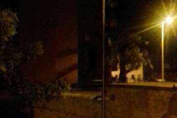 Foto Domingo Moreno.
