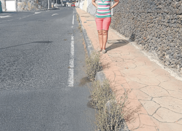 Hierbajos junto a la acera, a escasos metros de la casa donde vivioÌ San Mao (Foto Canarias7)