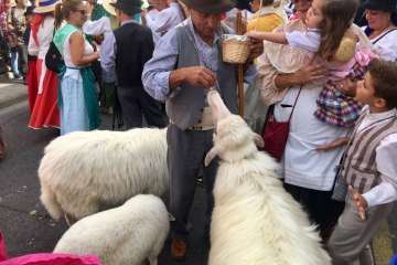 Reportaje gráfico Antonio Alí/Francisco Javier Santana y TA.