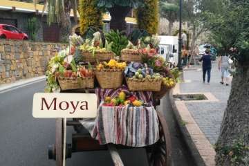 Reportaje gráfico Antonio Alí/Francisco Javier Santana y TA.