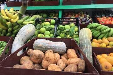 Reportaje gráfico Antonio Alí/Francisco Javier Santana y TA.