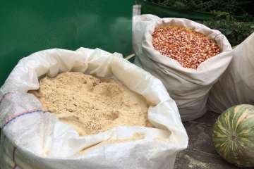 Reportaje gráfico Antonio Alí/Francisco Javier Santana y TA.