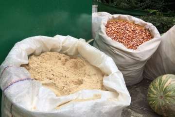 Reportaje gráfico Antonio Alí/Francisco Javier Santana y TA.