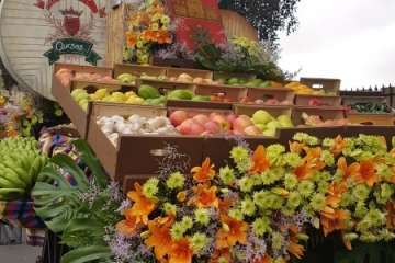 Reportaje gráfico Antonio Alí/Francisco Javier Santana y TA.